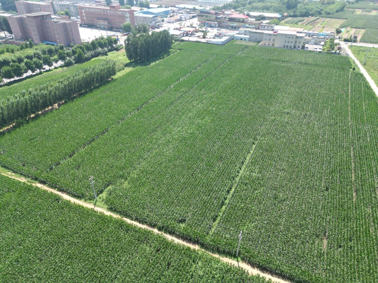 BWIN·必赢(中国)唯一官方网站