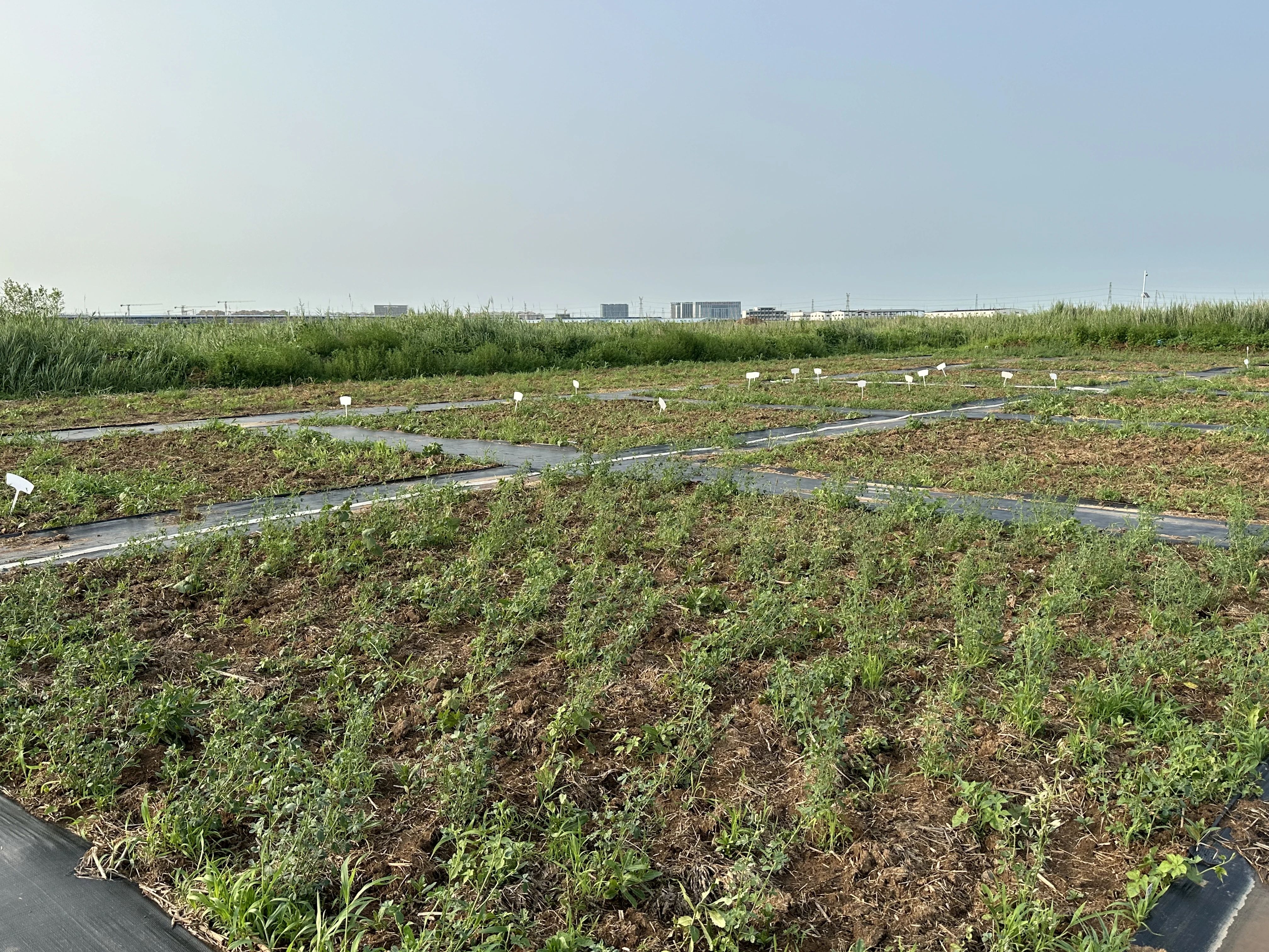 BWIN·必赢(中国)唯一官方网站